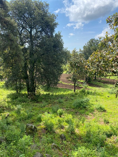 Imagen 6 de 11 de Gran Terreno En Paraje Palacio, Huitzilac, Morelos.