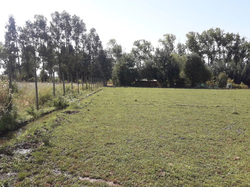 Hermosa Parcela, Buen Terreno Con Agua