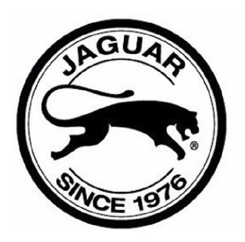 Imagen 5 de 7 de Zapatillas Jaguar Deportivas Lona 34 Al 44 #709