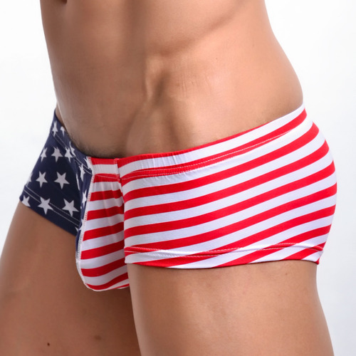 Bragas Para Hombre, Informales, Con Estampado De La Bandera