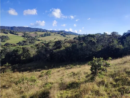 Finca En Venta Carmen De Viboral, Vía La Unión Antioquia 50 Cuadras.