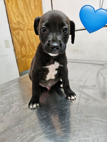 Bebitos 3 Meses Y Medio, Preciosuras, Leer Y Responder !!