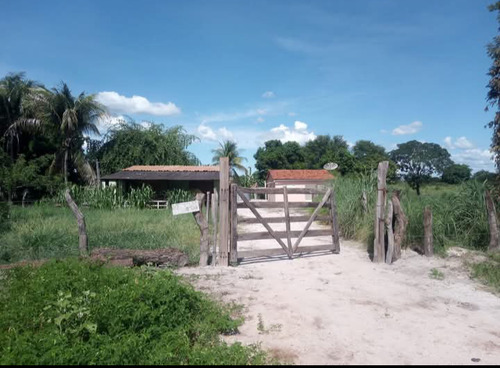 Roça Com 2 Casas Ou Total 4 Quartos E 2 Banheiros