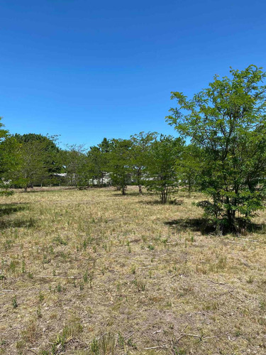 Imagen 14 de 14 de Dueño Vende Hermoso Lote En Villa Elisa, La Plata Calle 409