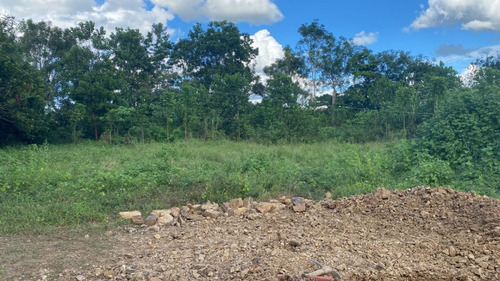Te Vendo Hermosa Finca En Monte Plata