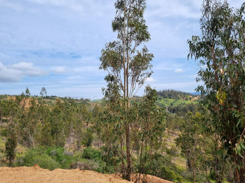 Vendo Parcelas A 20 Kms. Aproximadamente De Peralillo