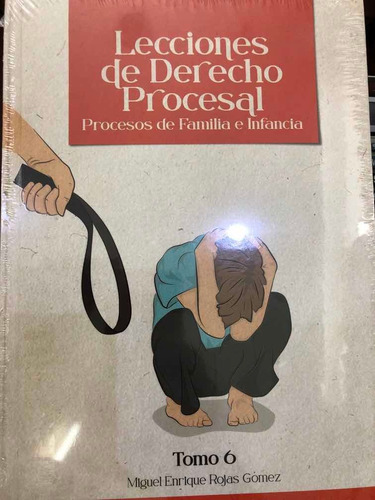 Lecciones De Derecho Procesal Procesos De Familia E Infancia