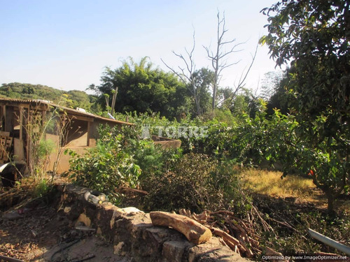 Imagem 8 de 20 de Chácara À Venda Em Macuco - Ch002532