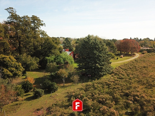 Imagen 12 de 14 de Venta Chacra De 1 Ha En General Belgrano - 2 Casas. Zona Termas Del Salado