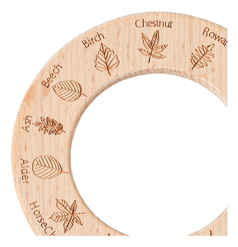 Juguete De Aprendizaje De Madera Para Niños Con Lupa, ,