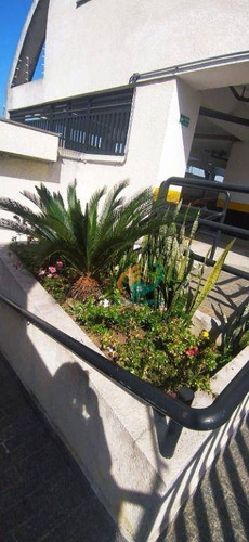 Imagem 30 de 30 de Apartamento Com 2 Dormitórios À Venda, 60 M² Por R$ 300.000,00 - Vila Augusta - Guarulhos/sp - Ap4804
