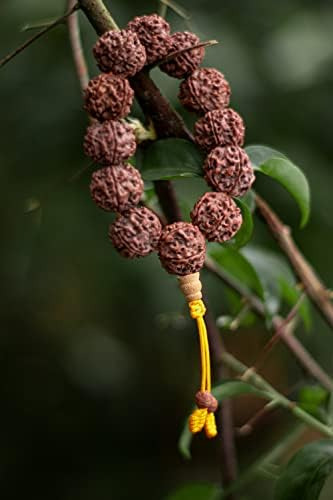 Manos Del Tíbet Rudraksha Semilla Muñeca Para Meditación Yog