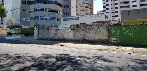 Imagem 2 de 4 de Terreno Na Av. Barão De Studart, Vizinho A Fiec. - Te0082
