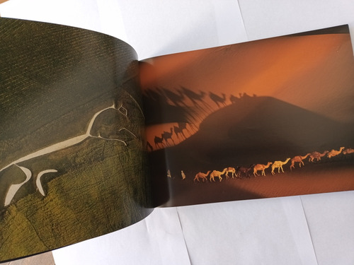 Libro La Tierra Vista Desde El Cielo - Yann Arthus Bertrand (Usado)