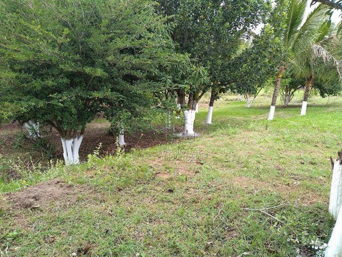 Imagem 3 de 19 de Chácara Com 4 Dormitórios À Venda, 20000 M² Por R$ 456.000,00 - Campo Alegre Iv - Bofete/sp - Ch0021