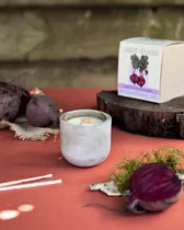 Comprar Vela De Soja Aromatica Decorativa Fanal Vidrio Aqui & Ahora