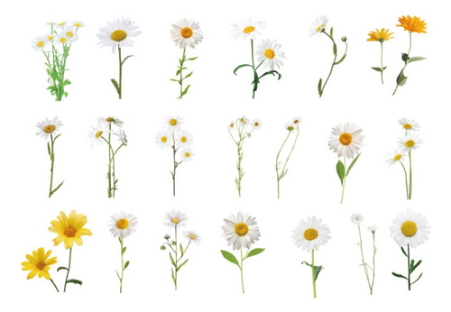 Set 40 Calcomanias Pegatinas Flores Decoración