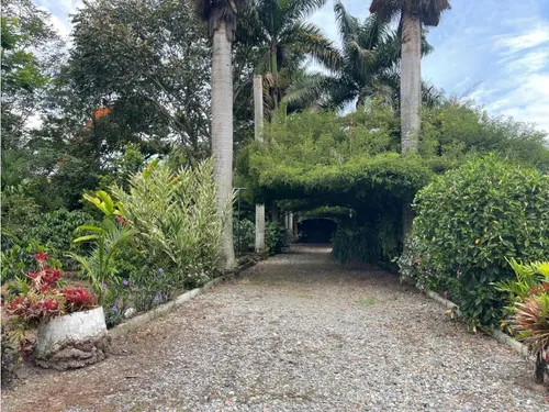 Vendo Finca Vía Tebaida