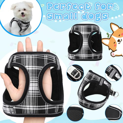Jgo 11 Pzas Arnés Y Collar Antitirones Para Perros Kit De In