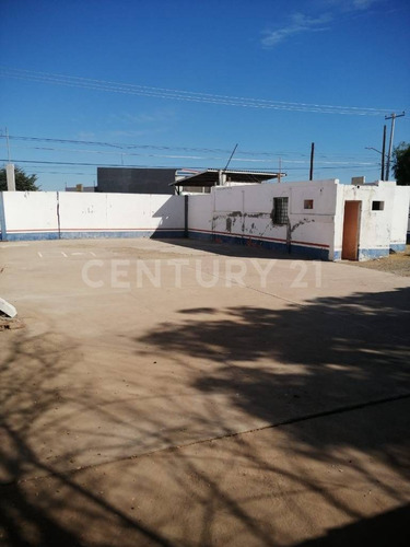 Imagen 10 de 17 de Se Renta Terreno Comercial En Providencia.