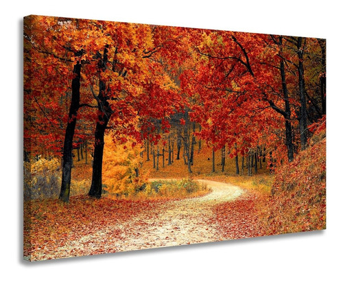 Quadro Para Decoração Caminho Floresta Sala Quarto Corredor Cor imagem Cor da armação Borda Infinita