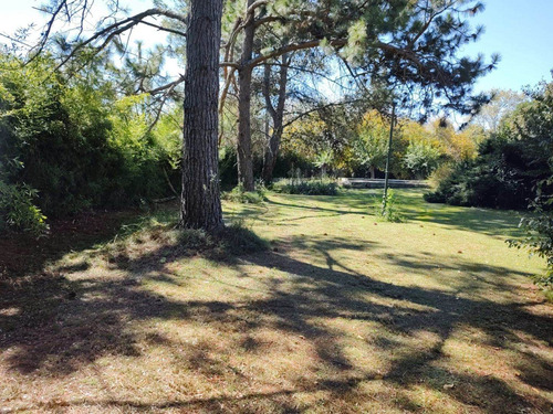 Imagen 16 de 16 de Quinta De 1300 Mts2 Aprox.
