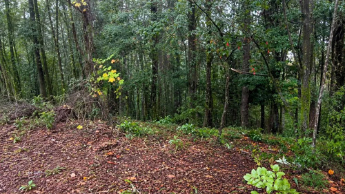 Parcela 5.000m2 | Sector Puquereo | Eje Freire-villarrica