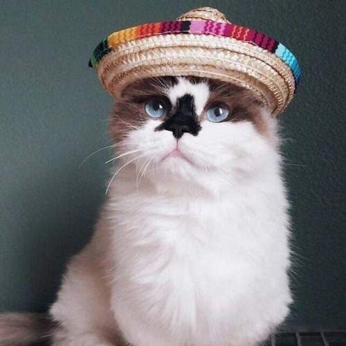 Sombrero De Paja Mexicano Para Perro Y Gato, Multicolor, Pet