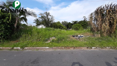 Terrenos 300 M2 Nossa Senhora Dos Navegantes - Cananéia / Sp - Te00060 - 69326694