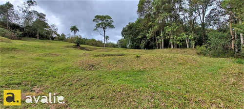 Excelente Sítio Localizado Em Gaspar. Você Precisa Conhecer !!! - 6002872v