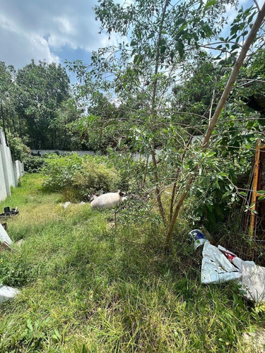 Terreno Venta, Col Lomas De Chapultepec