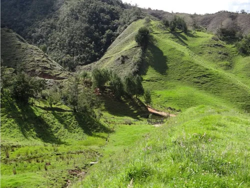 Finca En Venta La Unión Via Abejorral Antioquia. 83 Hectareas