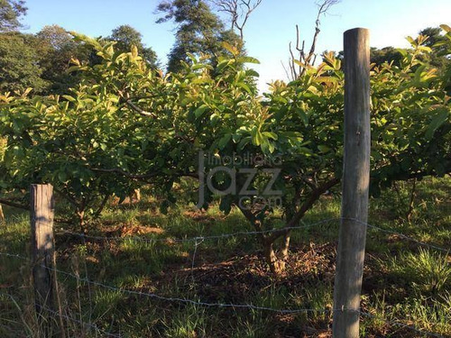 Chácara Com 2 Dormitórios À Venda, 28000 M² Por R$ 1.000.001,00 - Rio Acima - Jundiaí/sp - Ch0452