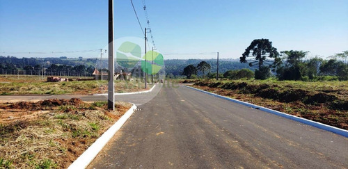 Imagem 10 de 11 de Terreno A Venda No Bairro Colônia Dona Luíza Em Ponta - 30127-1