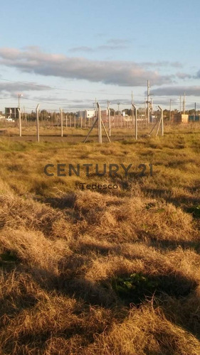 Imagen 5 de 5 de 3 Esquina 489.. Lote En Venta, Gonnet.