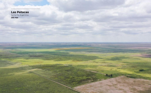 Campo De 255 Hectáreas En Las Petacas, Santa Fe