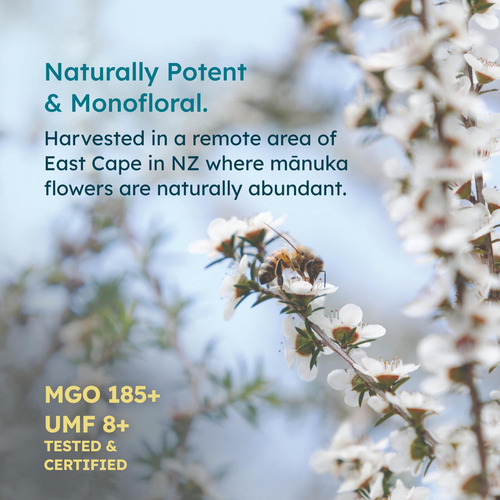 Miel De Manuka Cruda Melora De Nueva Zelanda | Umf 10+ | Mgo