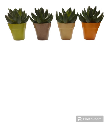 Mini Vaso Com Borda Para Cactos E Suculenta N6 Decoração