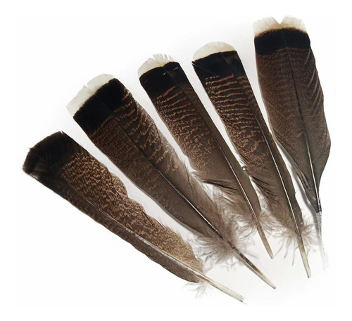 Lampu 10  12 Grado Pluma Pavo Natural Decoracion Ropa