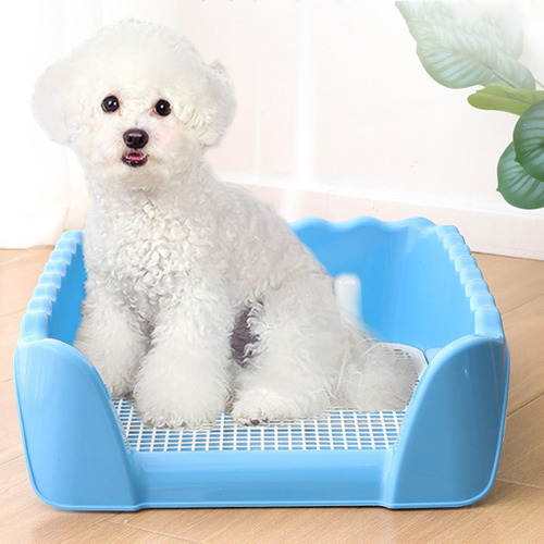 Bandeja De Baño De Entrenamiento Para Gatos Y Azul Pequeño