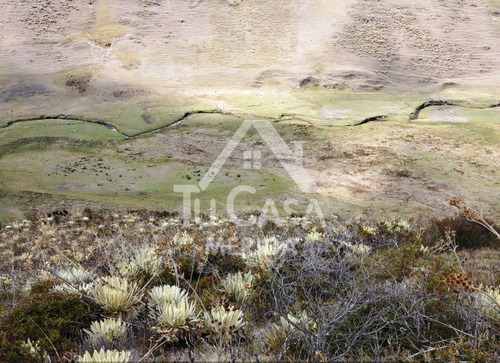 Finca Agrícola - Apartaderos