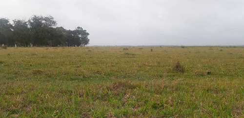 Venta Campo Chacra Rocha Cabo Polonio 20 Hectáreas Ruta 10