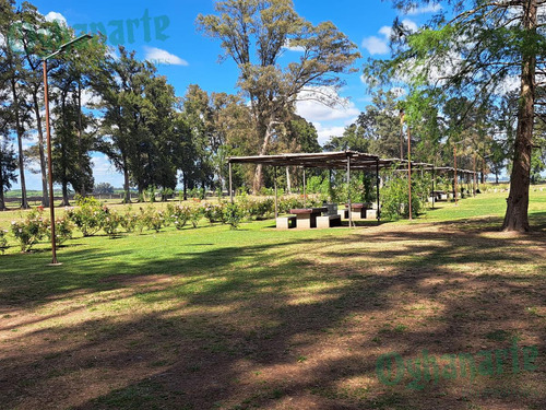 Imagen 16 de 18 de Oferta - Venta Lote En Tres Pinos - Gral. Rodriguez.