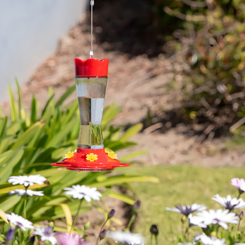 Mekkapro Comedero Para Colibríes Para Exteriores Hecho De . Color Rojo