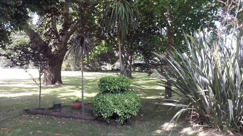 Imagen 12 de 13 de Chacra Con Lote En San Clemente