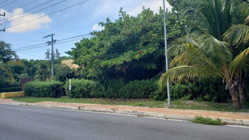 Imagen 7 de 29 de Terreno En Venta Punta Sam, Isla Mujeres