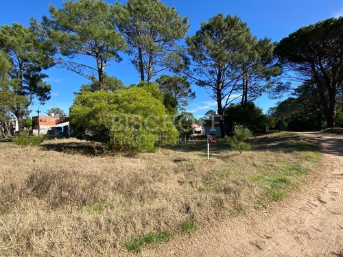 Imagen 8 de 16 de Hermoso Terreno, Zona Golf. Villa Gesell