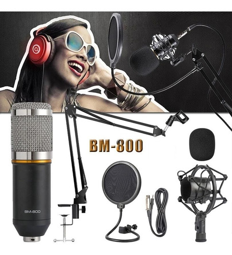 Microfono Condenser Bm-800 Estudio Karaoke Locucion Brazo