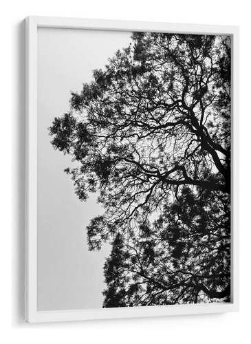 Cuadro Enmarcado Blanco Ramales Ii, Blanco Y Negro 45x60