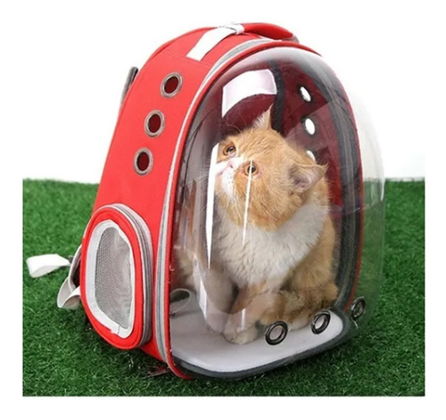 Imagen 6 de 8 de Mochila Bolso Mascotas Gato Perro Transparente Super Visión
